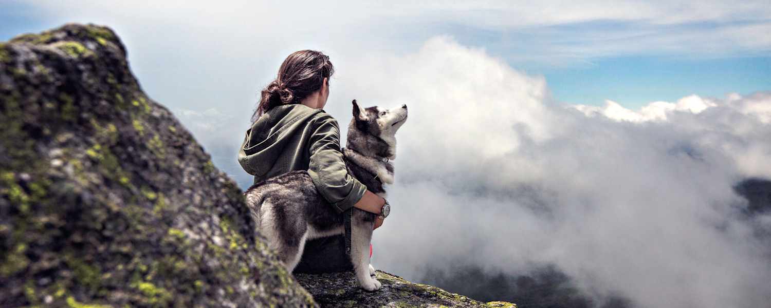 Husky mit Mensch auf Berggipfel