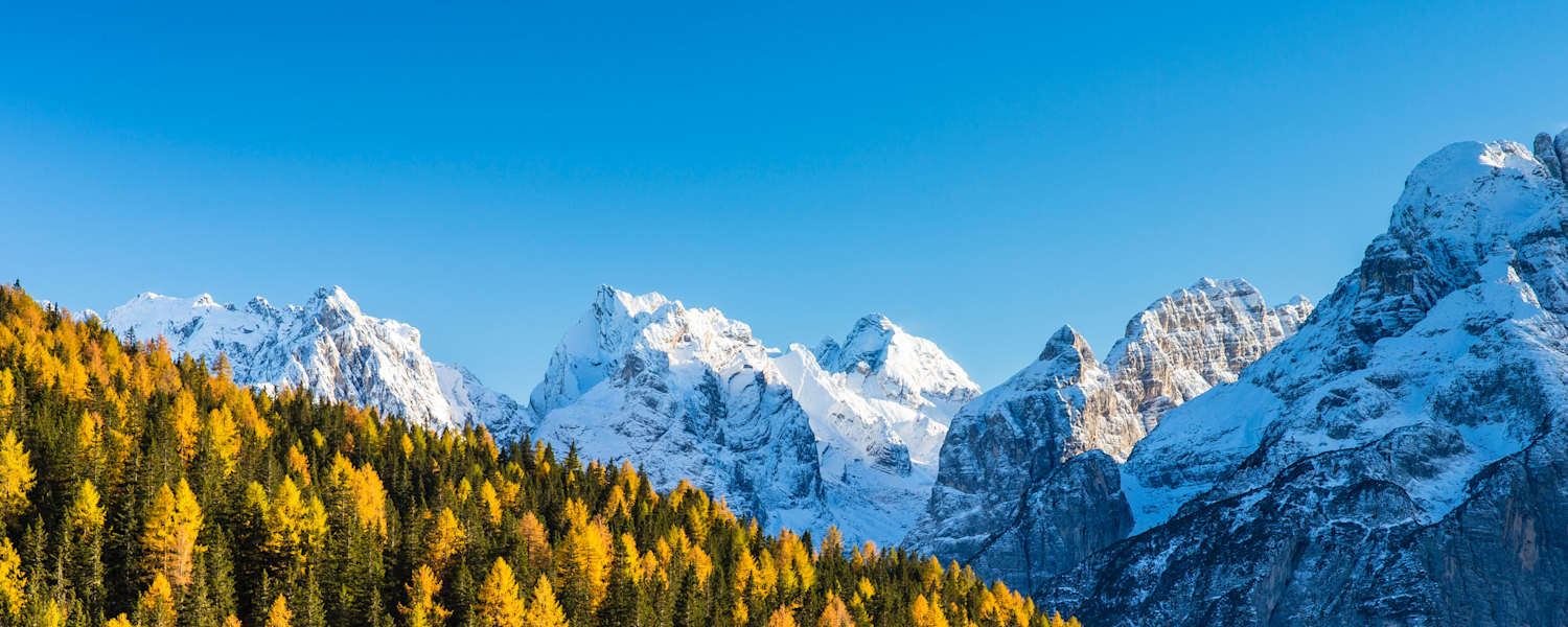 Wald: Belluno in Italien