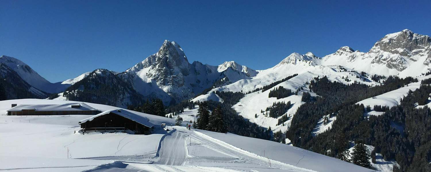Schneeschuhtour am Gstaader Hausberg Eggli im Kanton Bern