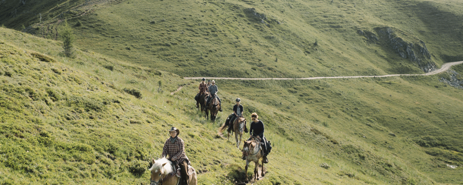 Hoch zu Ross auf den Golzentipp im Lesachtal