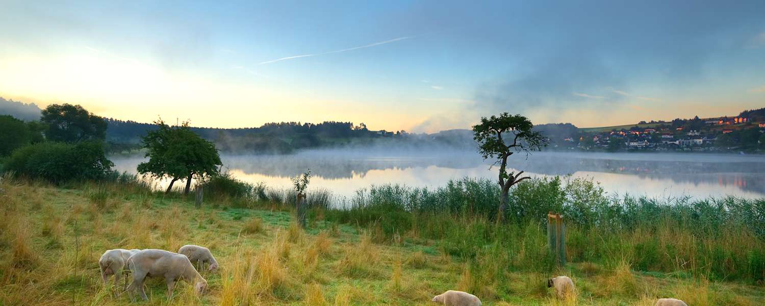 Wandern am Eifelsteig