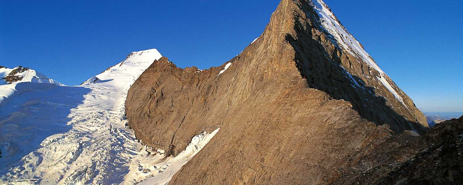 Mittellegigrat: Eiger in den Berner Alpen