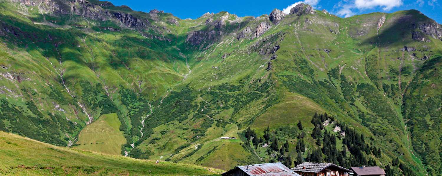 Etappe 10: Vorbei an der Gadaunerer Hochalm