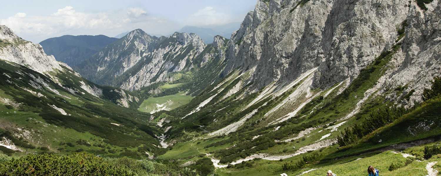 Luchs Trail Nationalpark Kalkalpen