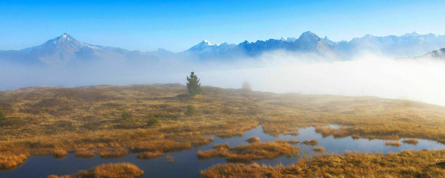 Welttag der Feuchtgebiete: Hochmoor in Tirol