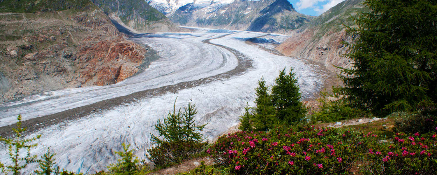 Fiescheralp - Riederalp: Grosser Aletschgletscher in den Berner Alpen im Wallis