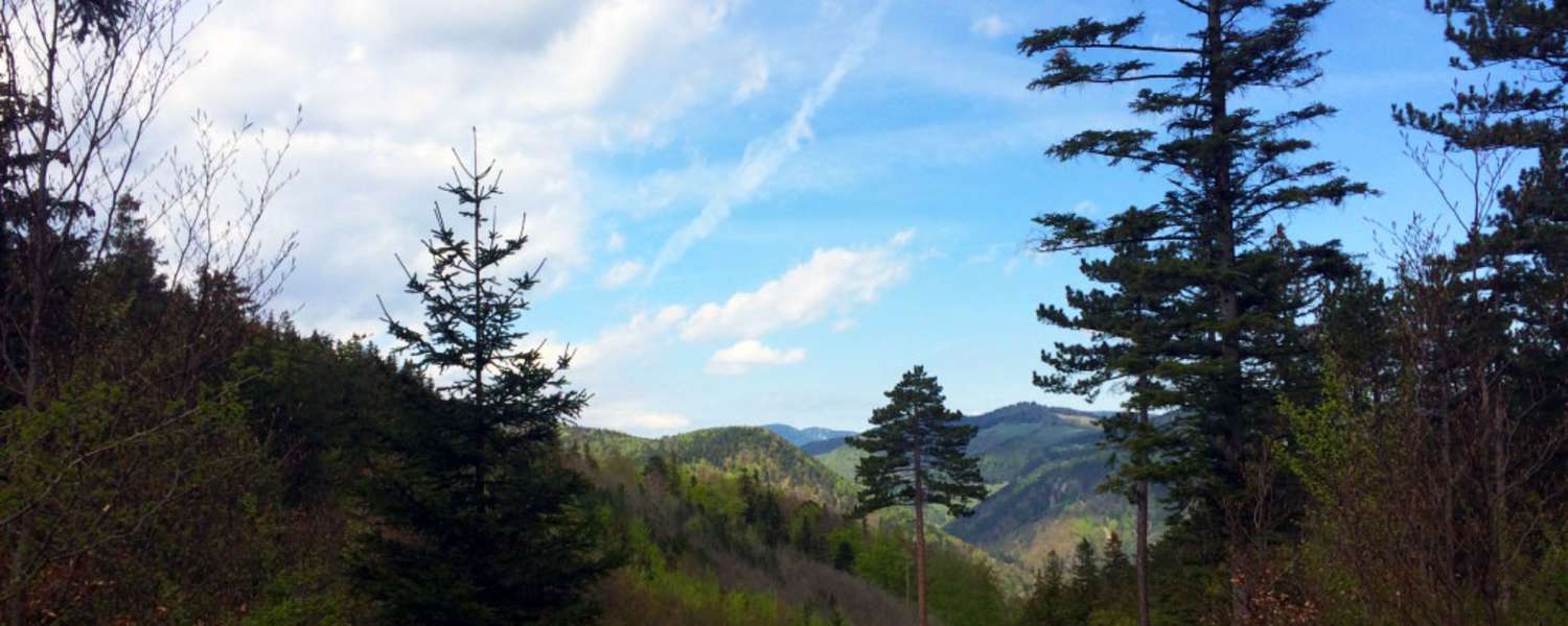 Flatzer Wand - Gösing