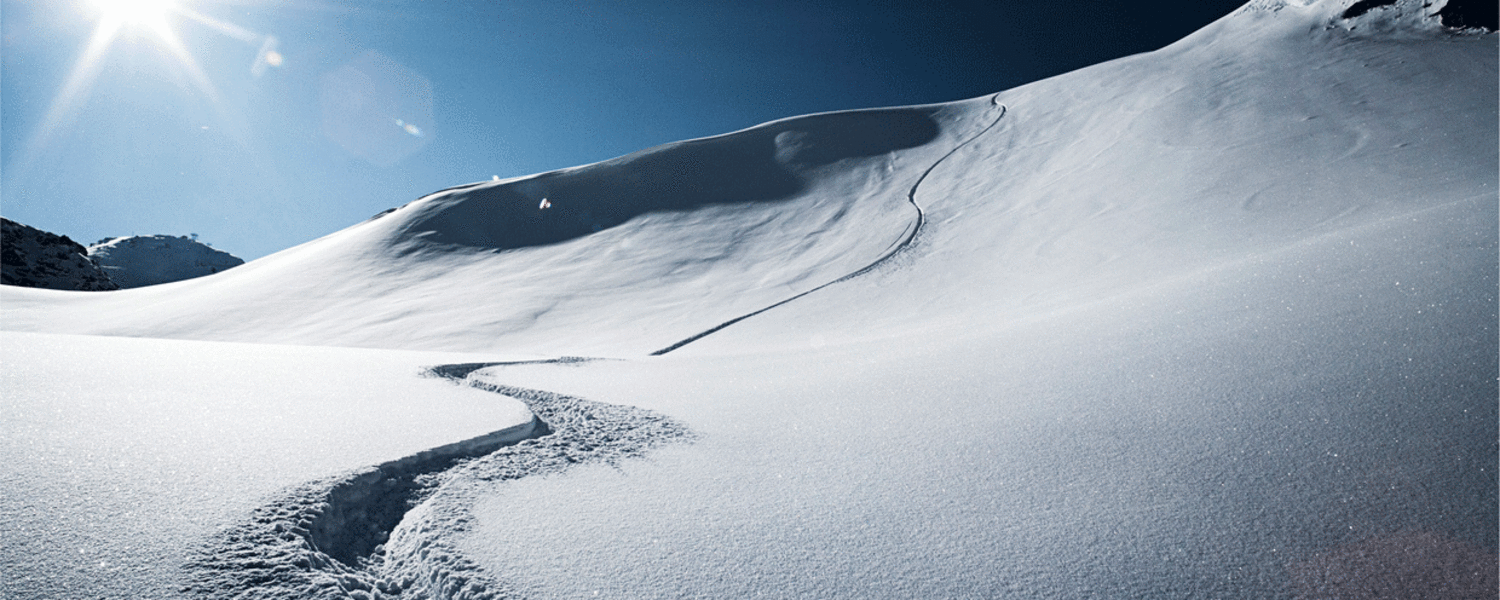 „Die Tischdame der radikalen Freiheit heißt Risiko“