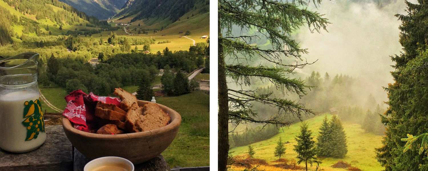 Schule der Alm im Valsertal: Frühstück auf Helgas Alm in Tirol