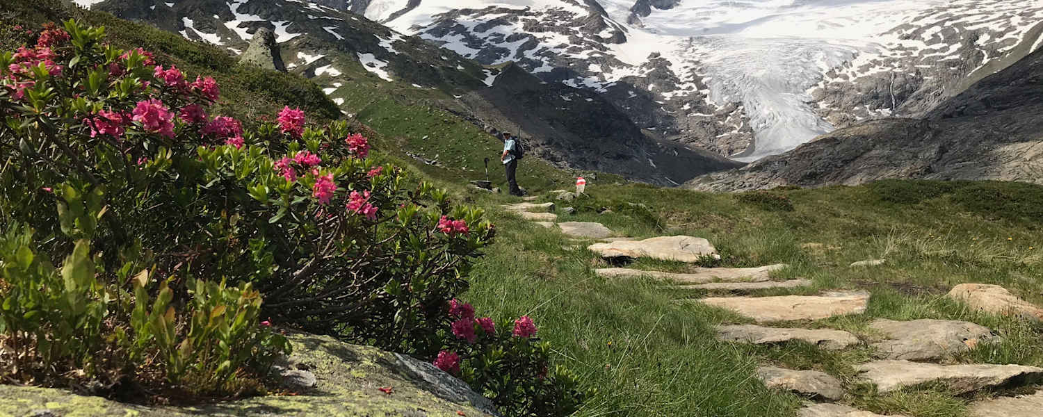 Innergschlöss mit Blick auf den Großvenediger