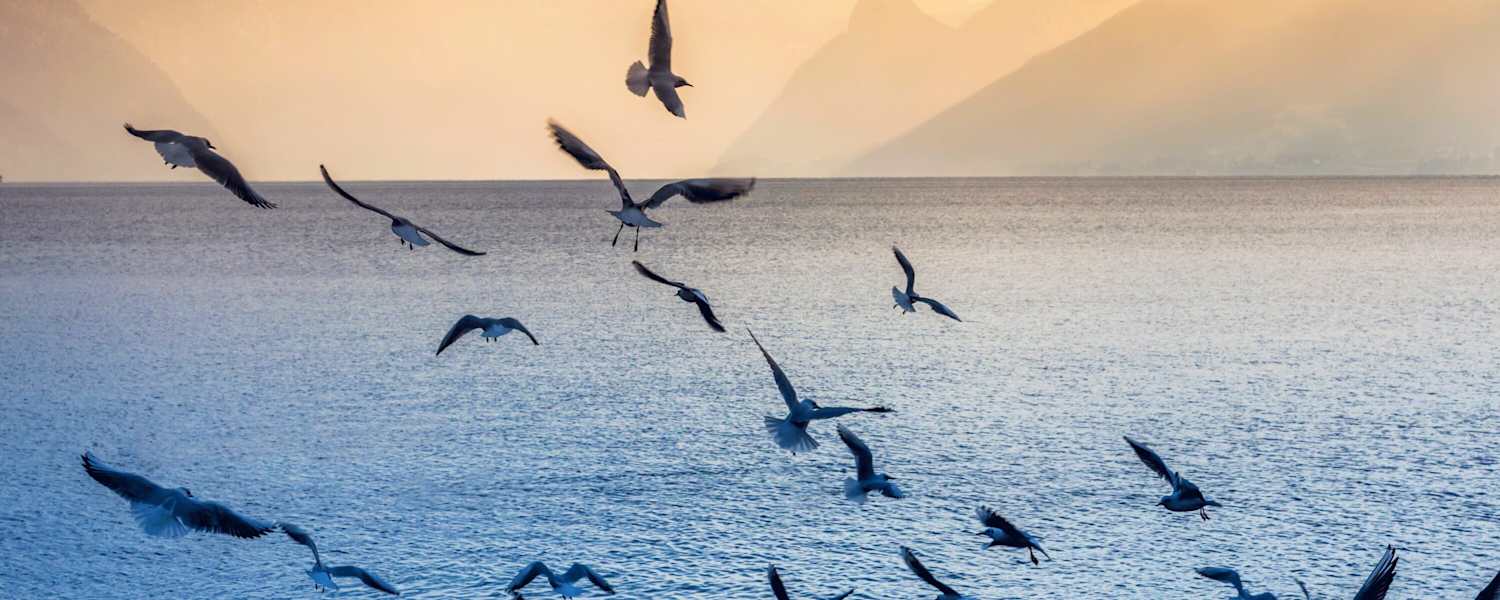 Traunsee bei Gmunden im österreichischen Salzkammergut