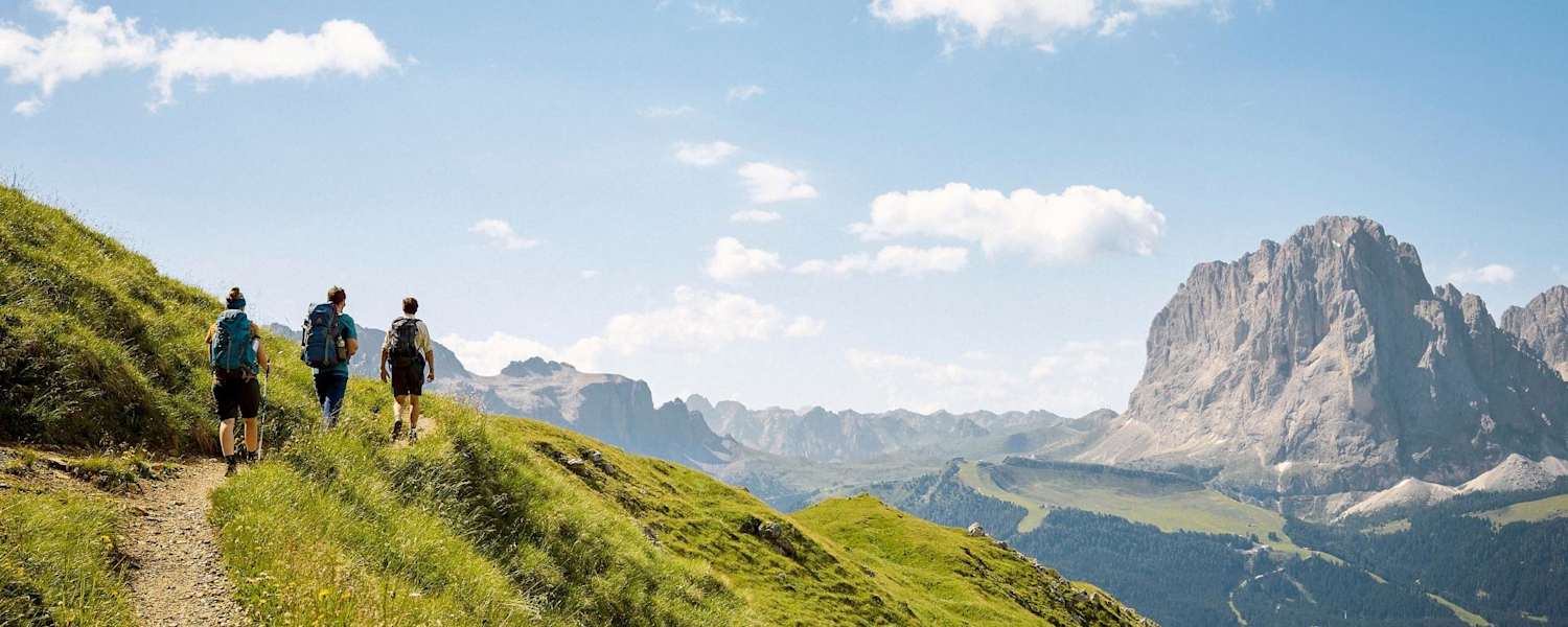 Blick auf markante Felsformationen und saftige Almböden