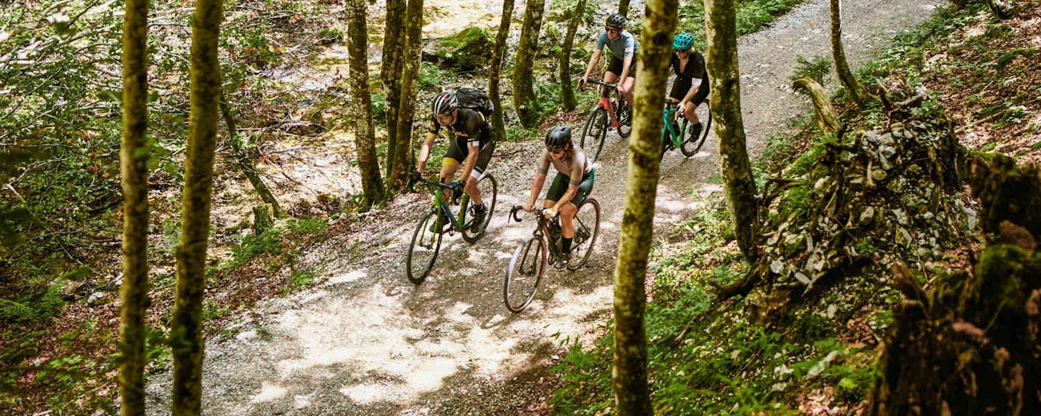 Die Gravelbike-Gruppe auf einem Forstweg.