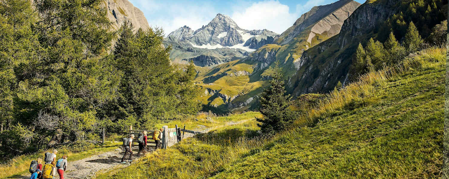 Wanderung im Grünen in Richtung Groß Glockner
