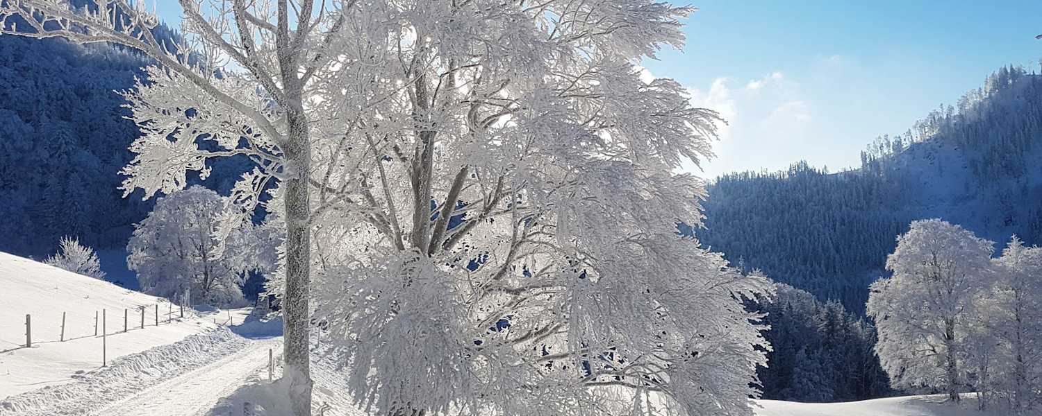 Winterwandern: Oberösterreichische Voralpen