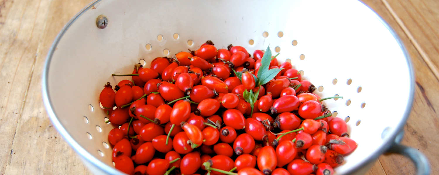 Selbstgemacht: Hagebutten-Ketchup