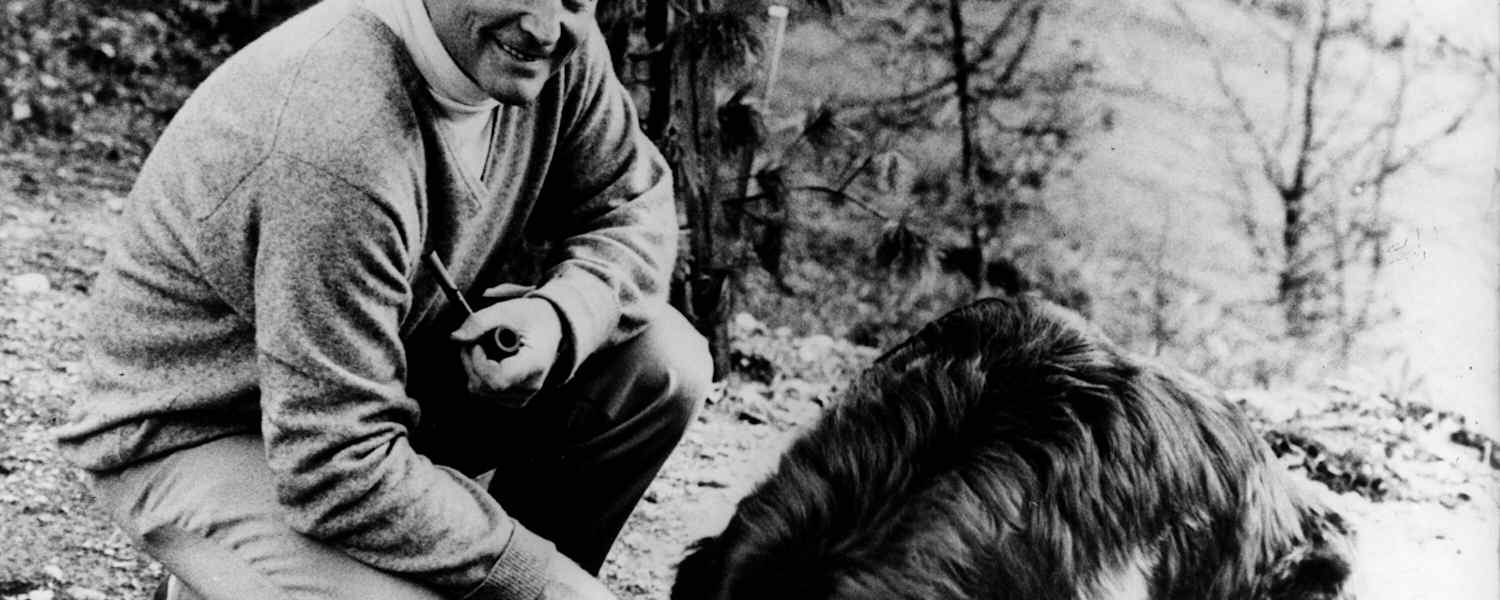 Heinrich Harrer: Von großen Abenteuern und Entdeckungslust