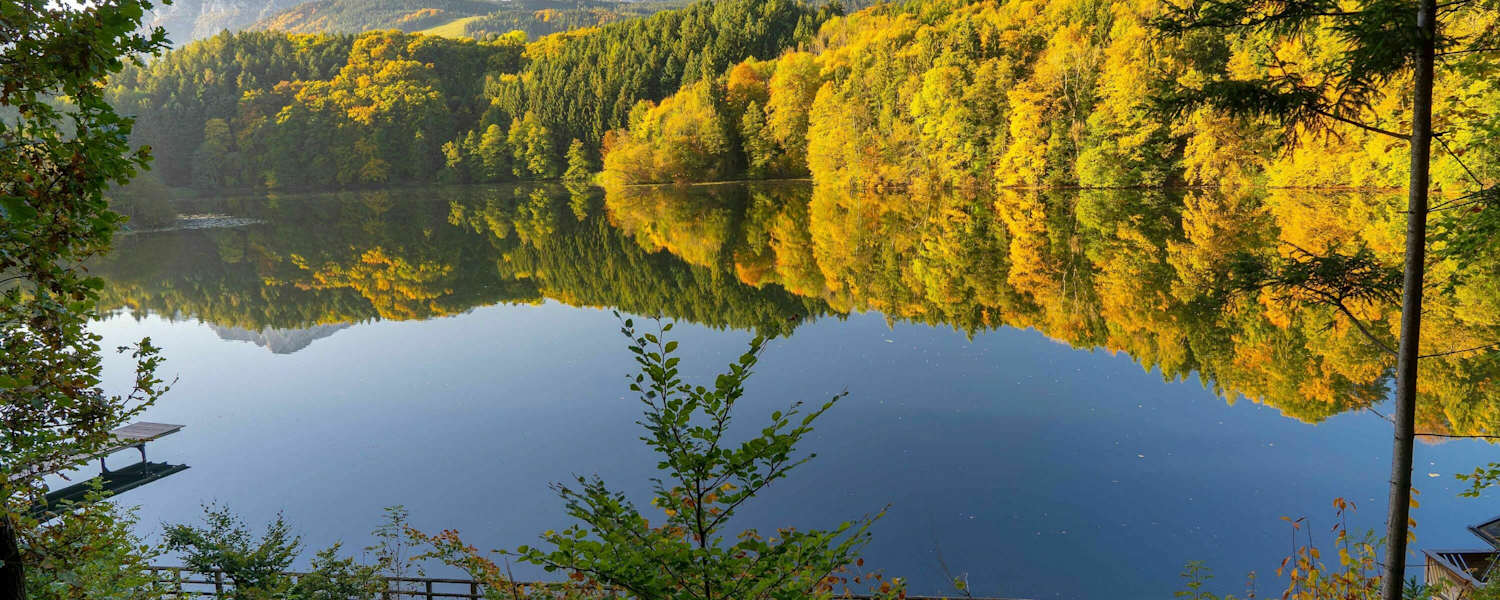 Herbst am Höglwörther See im Rupertiwinkel mit den Gipfeln des Hochstaufen und Zwiesel im Hintergrund