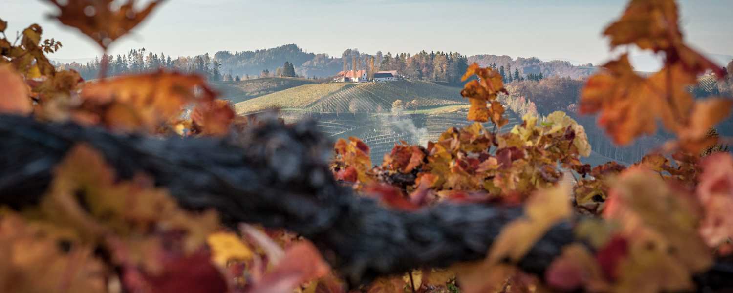 Herbstliche Wanderung durch die Heiligengeistklamm an der südsteirischen Weinstraße bei Leutschach