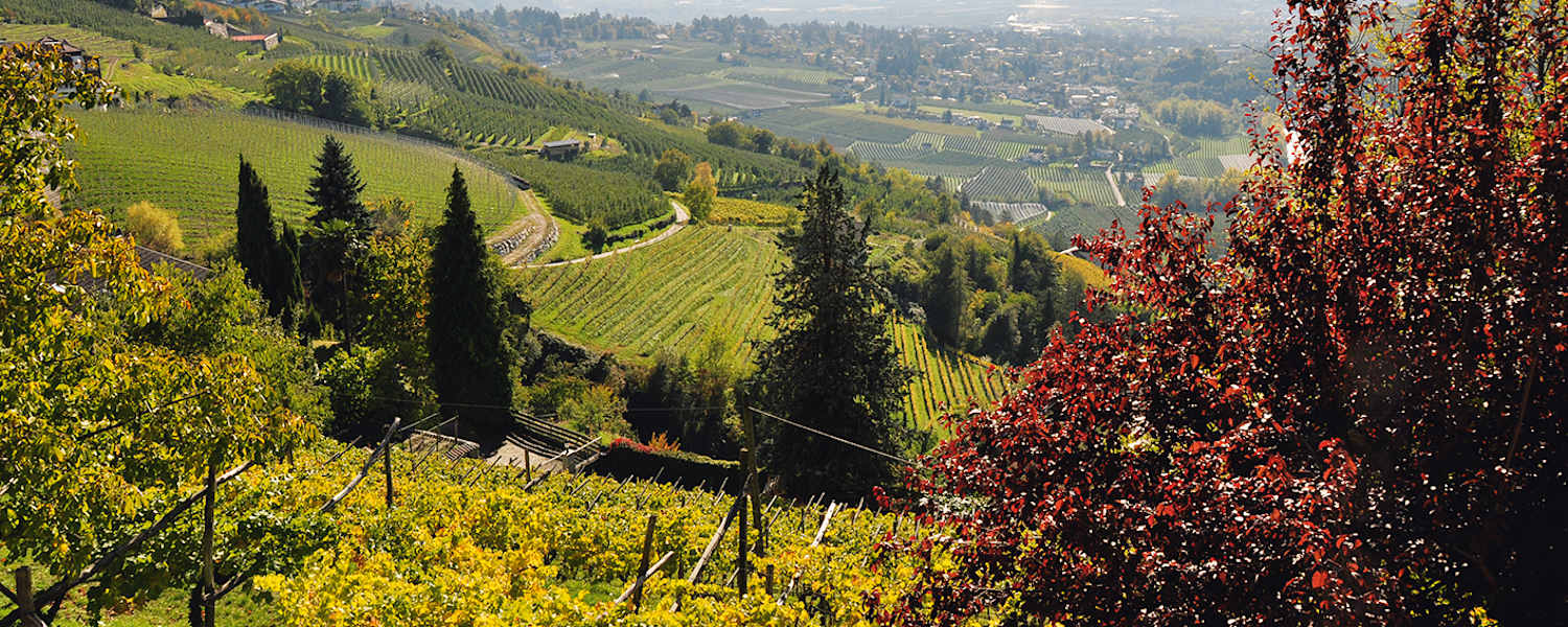 Herbstgenuss rund um Meran