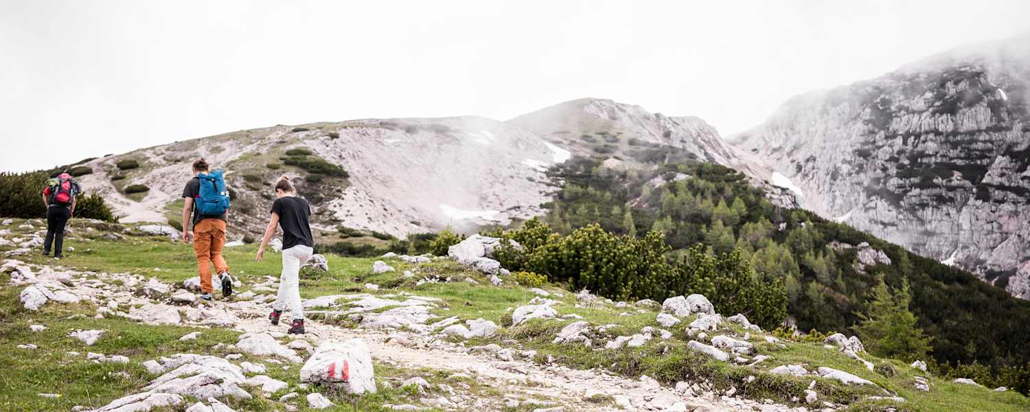 Drei Wanderer besteigen den Hochobir.