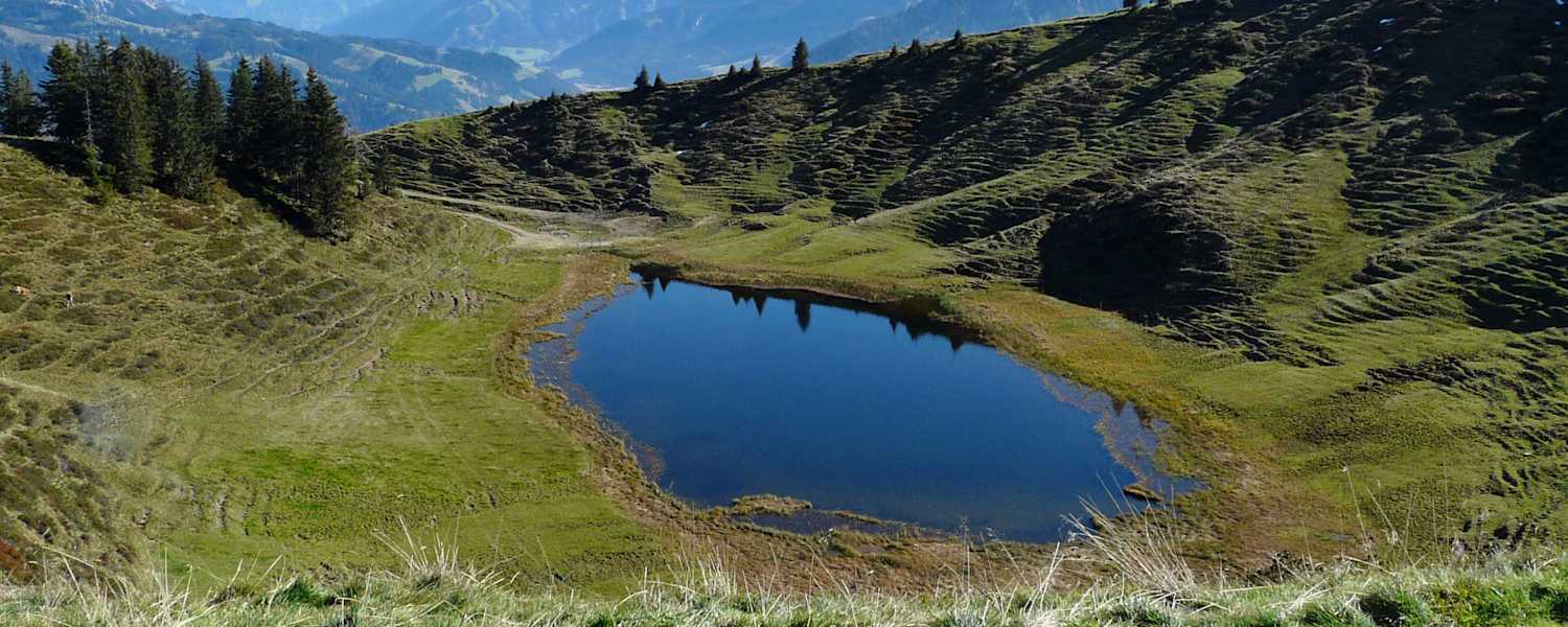 Hörnlesee in Bayern