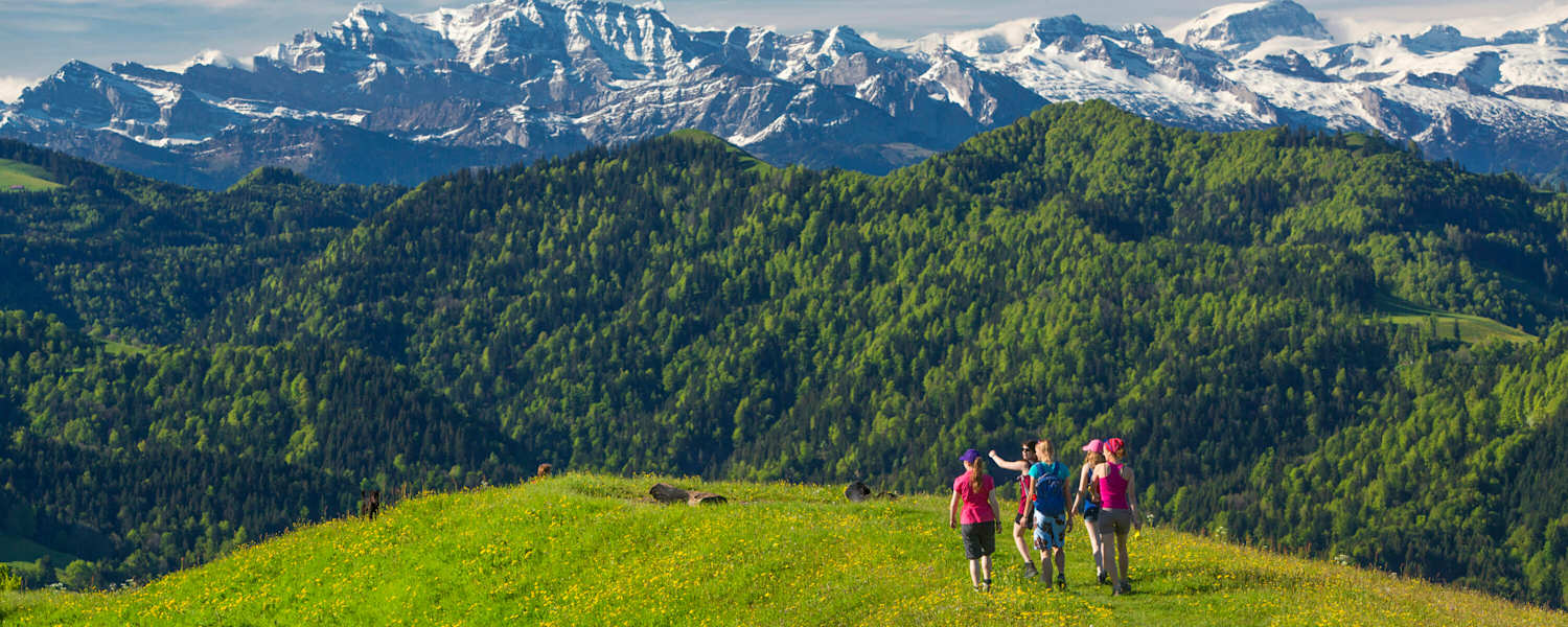 Aussichtsreiches Wandern auf dem Hörnli (1.133 m) vor dem Panorama der Appenzeller Alpen