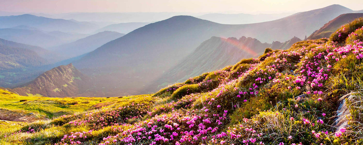 Allergie in den Alpen