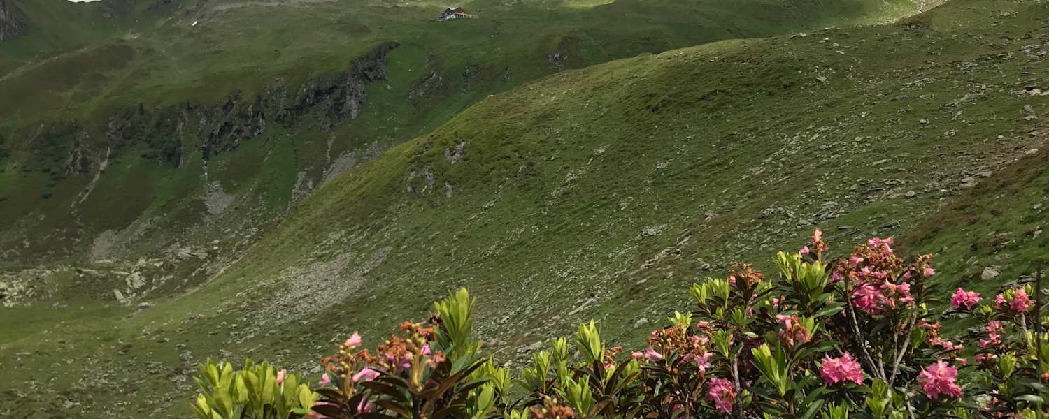Das Ziel der diesjährigen Aktion „Saubere Berge“ - die Ahornspitze  - verbirgt sich noch in den Wolken.