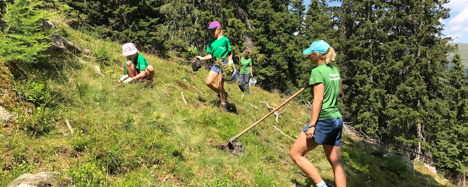 Bergwaldprojekt Obernberg