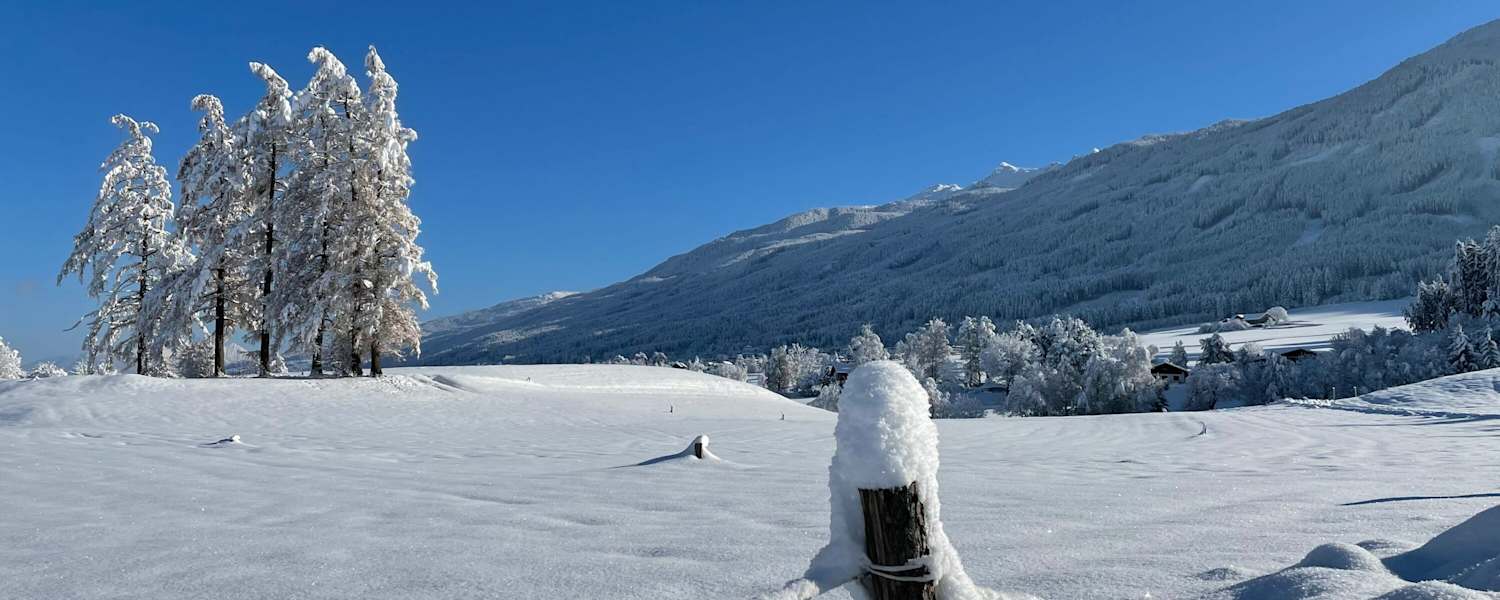 Winter von seiner schönsten Seite.