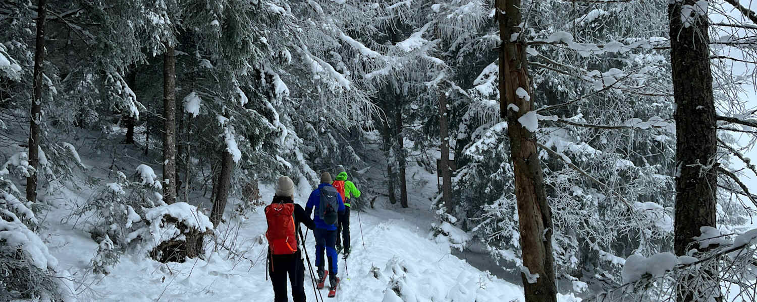Kranzberg-Route Mittenwald
