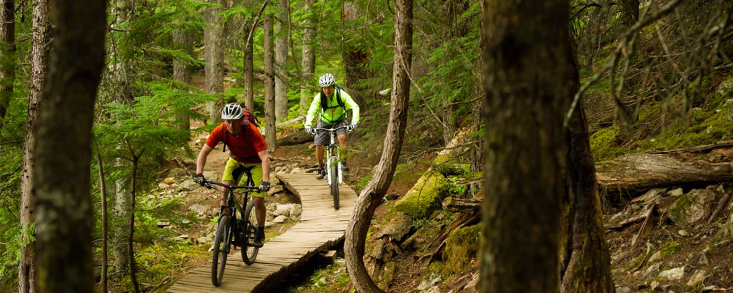 Mountainbiken Forststraßen