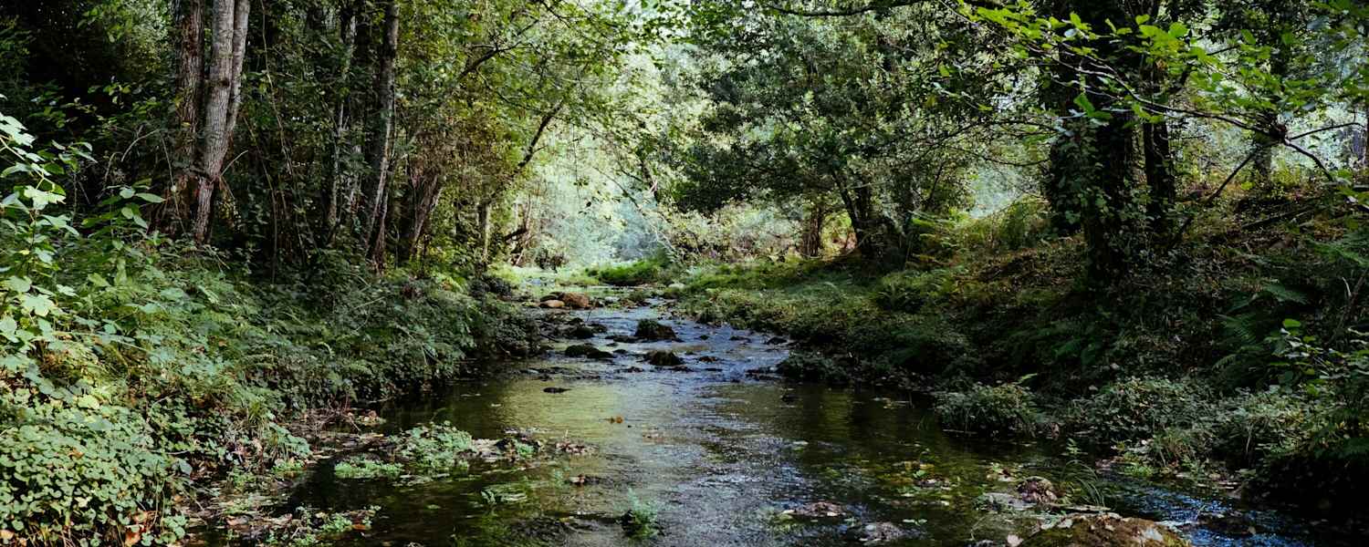 Idyllischer Bachlauf