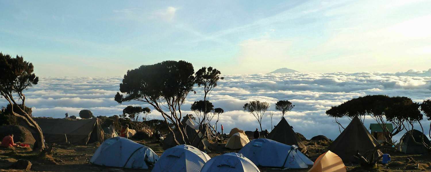 Kilimandscharo: Am Shira-Camp II