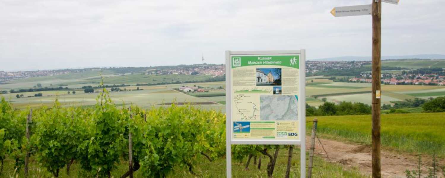 Informationsschild auf dem Kleinen Mainzer Höhenweg