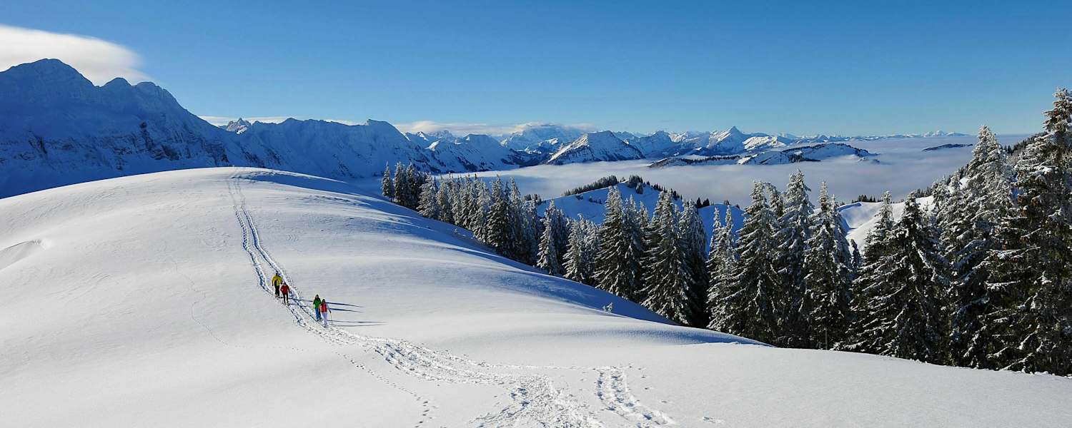 Winterwanderung zum Kronberg im Kanton Appenzell-Innerrhoden