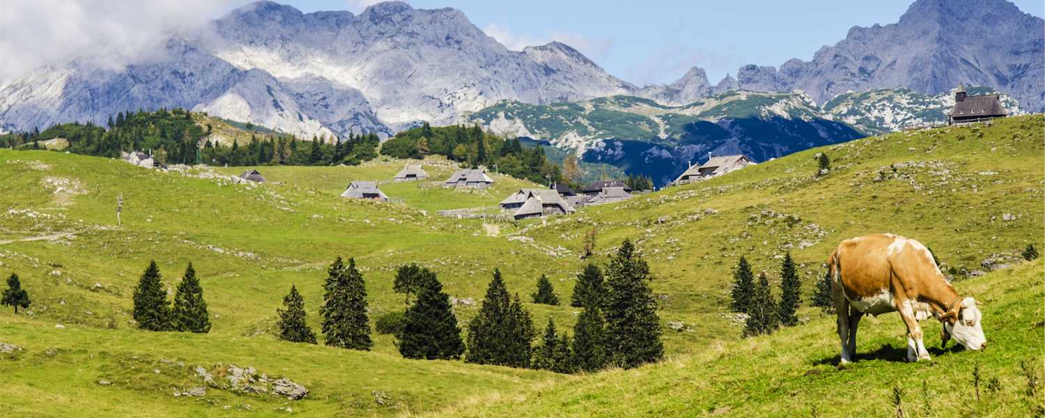 Berg-Know-How: Kuhl bleiben