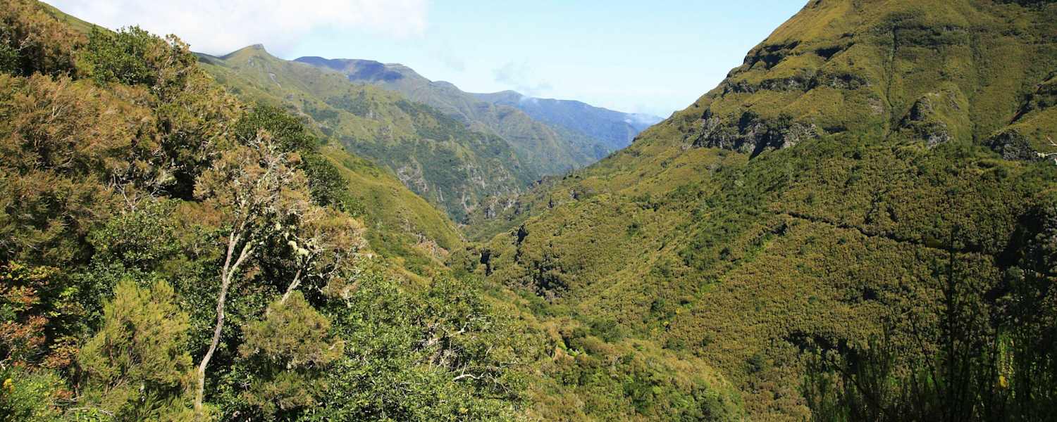 Levada der 25 Quellen: Wandern im Quellgebiet auf der portugiesischen Insel Madeira