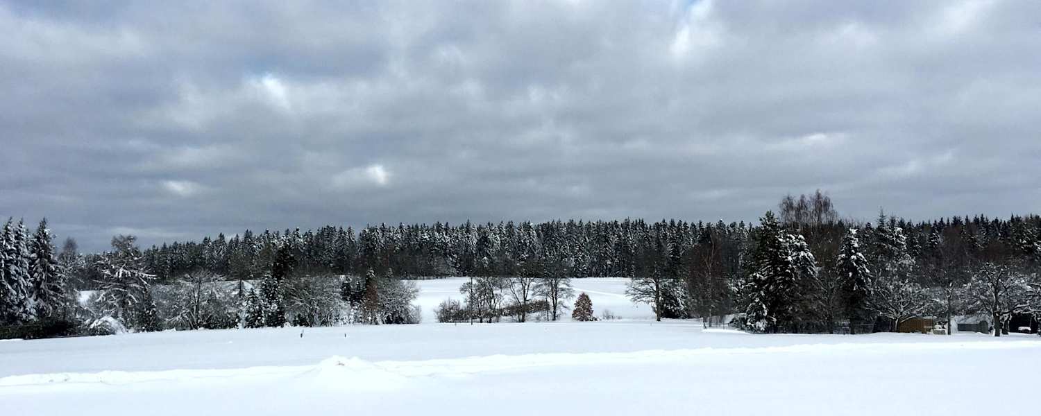 Loßburg Büchenbergspur - Büchenberg 