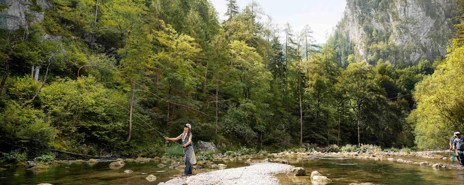 Fliegenfischen an der Schwarza in Niederösterreich.