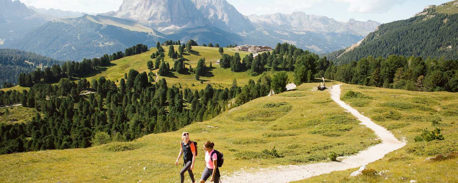 Blick auf den Langkofel