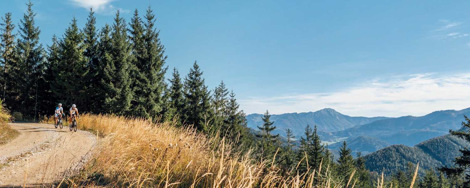 Auf und ab in den Ybbstaler Alpen 