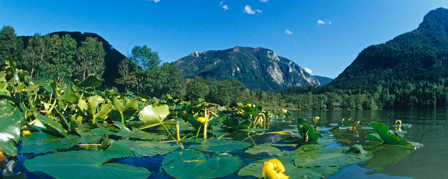Der Lunzer See ist gerade bei hochsommerlichen Temperaturen einen Ausflug wert