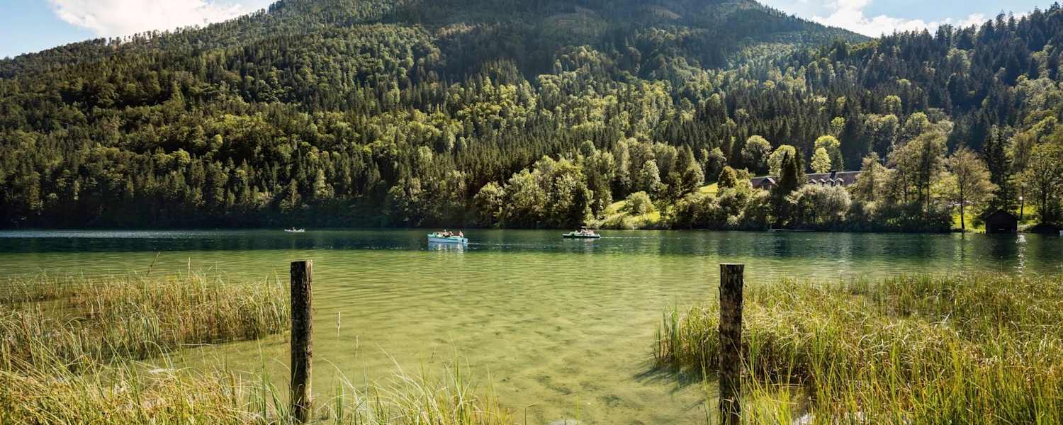 Der smaragdfarbene Lunzer See umgeben von saftig grünen Wäldern