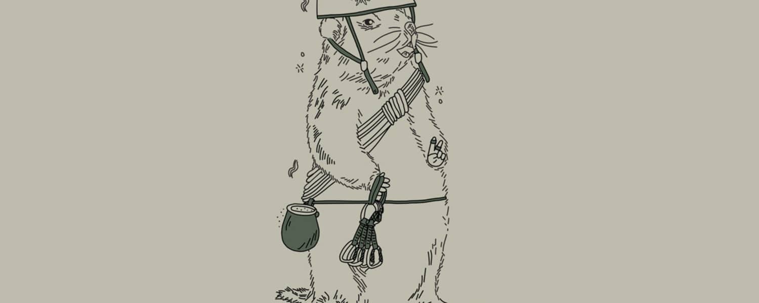 Manfred Steinseehütte