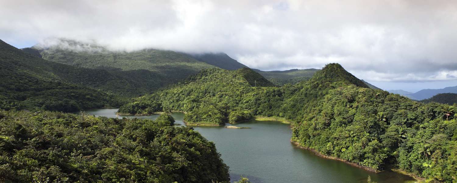 Dominica Wandern Trails