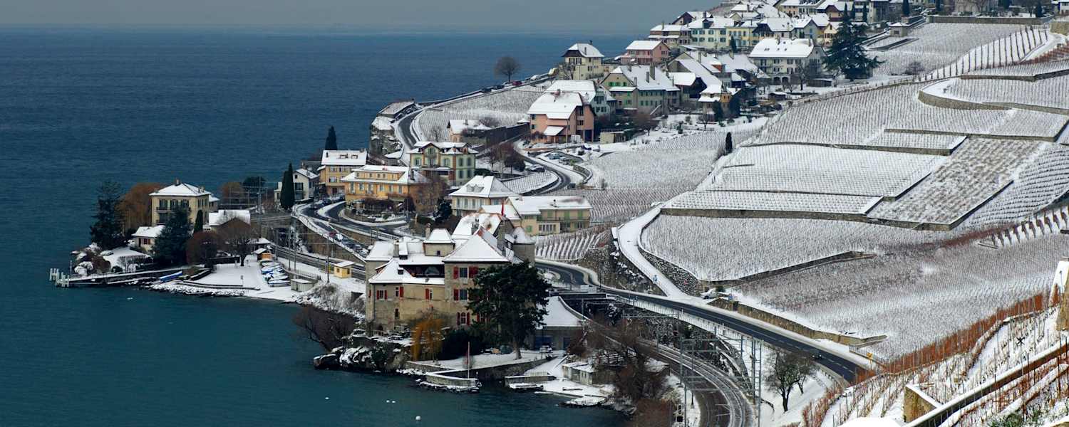 Lavaux Unesco Rivaz Genfersee