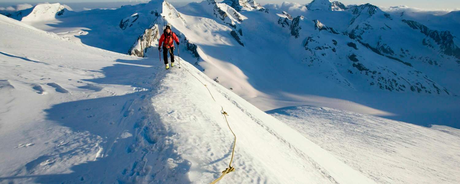 Skihochtour im Aufstieg mit Seil am Aletschgletscher, Wallis, Schweiz