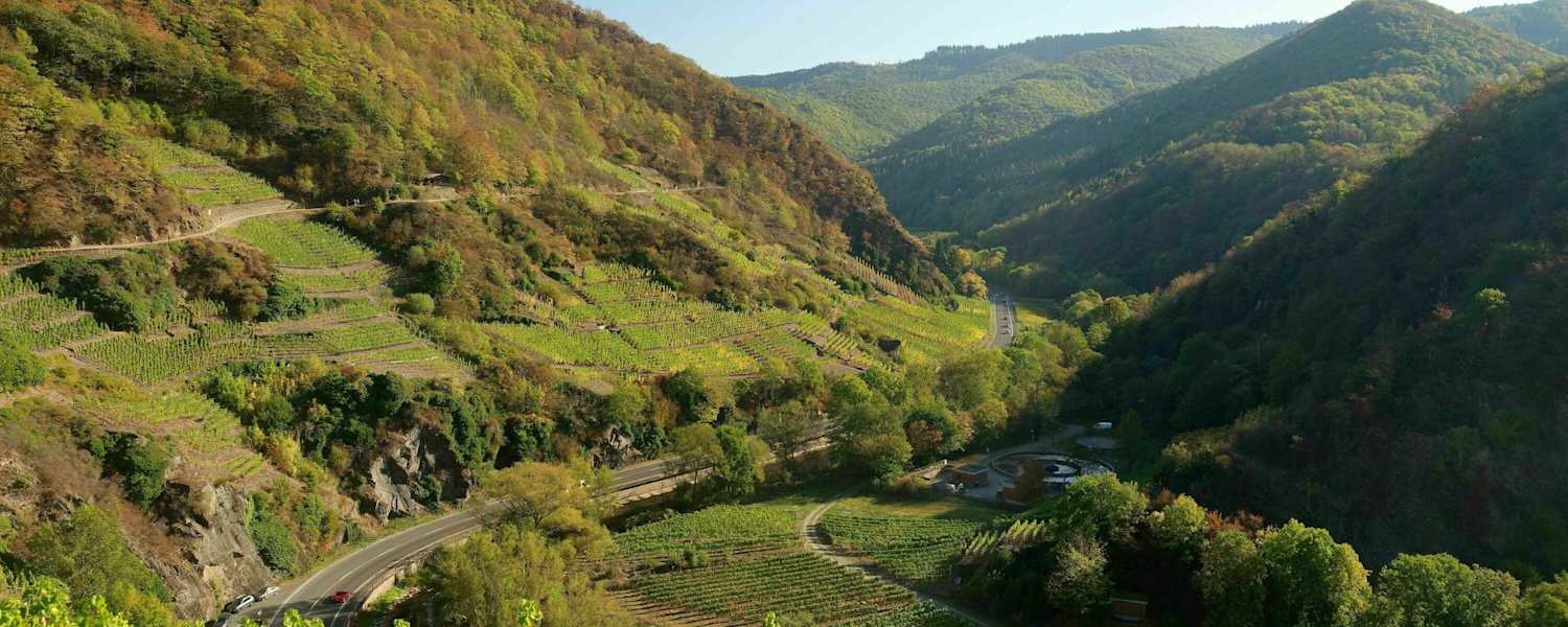Stadtnahes Wandern im Ahrtal bei Mayschoss in unmittelbarer Nähe von Köln
